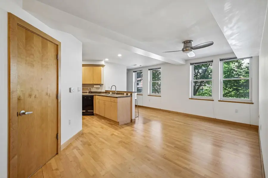 111 N Hamilton Street #203, Madison, WI 53703 - #3