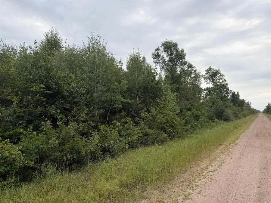 40 AC 9th AVE Acres, Necedah, WI 54646 - #3