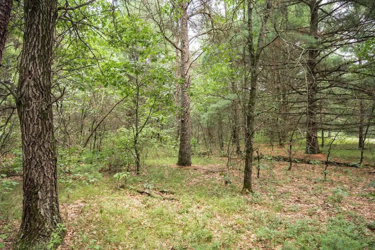 Lot 43 Morros Mile Road, Necedah, WI 54646 - #1
