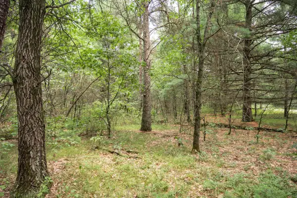 Lot 43 Morros Mile Road, Necedah, WI 54646