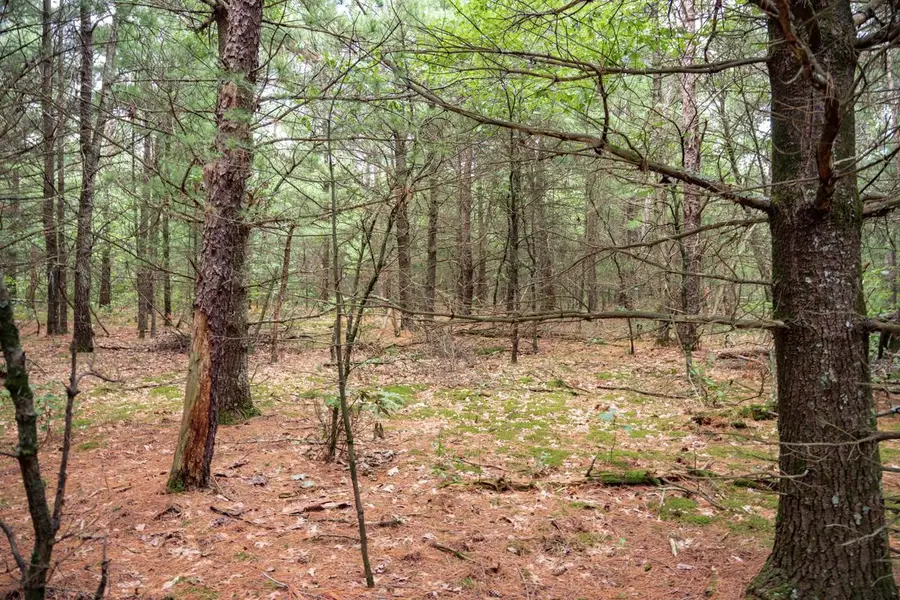 Lot 43 Morros Mile Road, Necedah, WI 54646 - #2