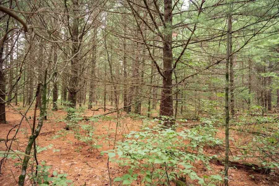 Lot 43 Morros Mile Road, Necedah, WI 54646 - #3