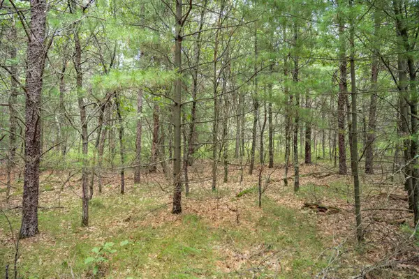 Lot 44 Morros Mile Road, Necedah, WI 54646