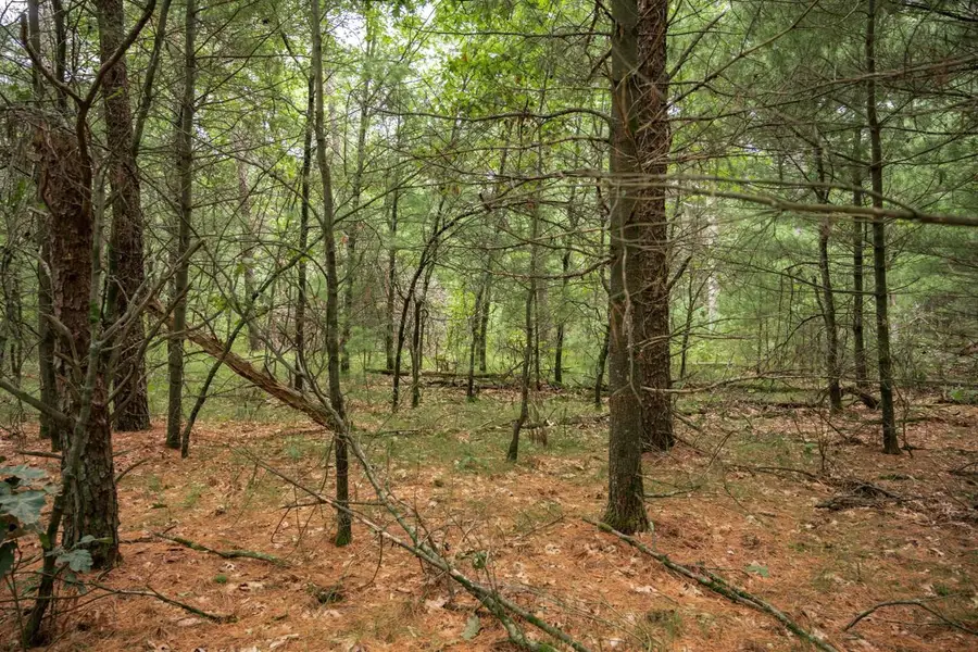 Lot 44 Morros Mile Road, Necedah, WI 54646 - #2