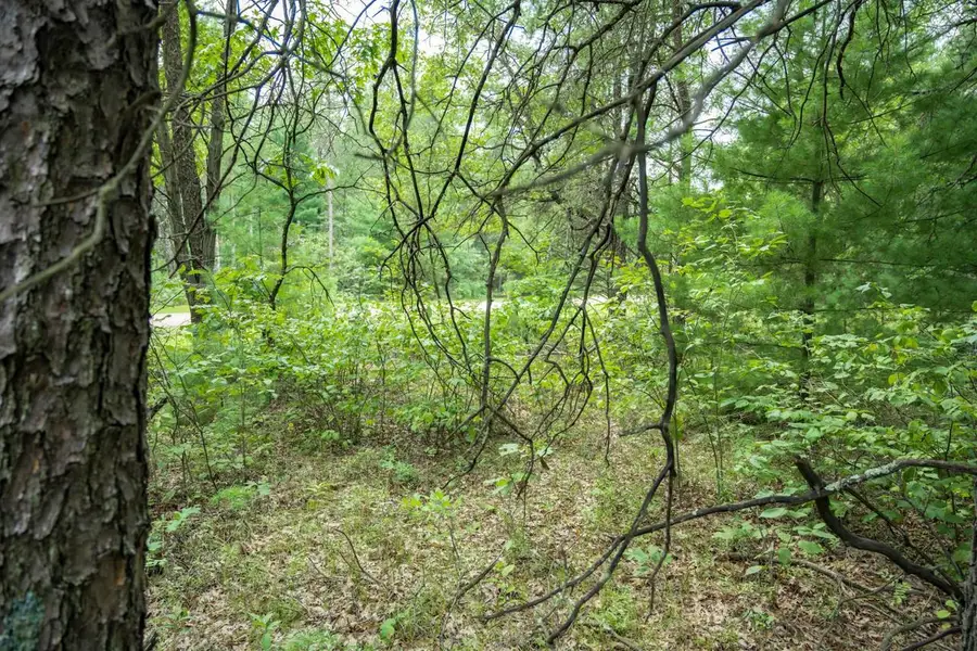 Lot 44 Morros Mile Road, Necedah, WI 54646 - #3