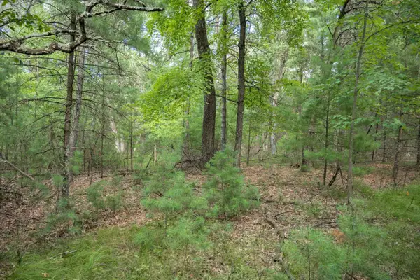 Lot 130 19th Pass, Arkdale, WI 54613