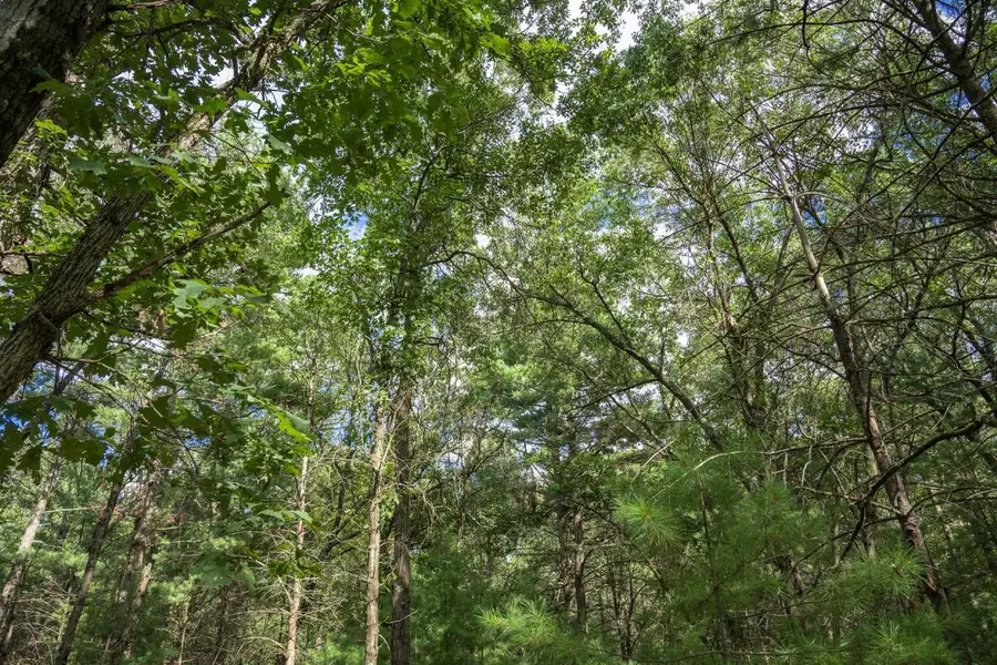 Lot 130 19th Pass, Arkdale, WI 54613 - #2