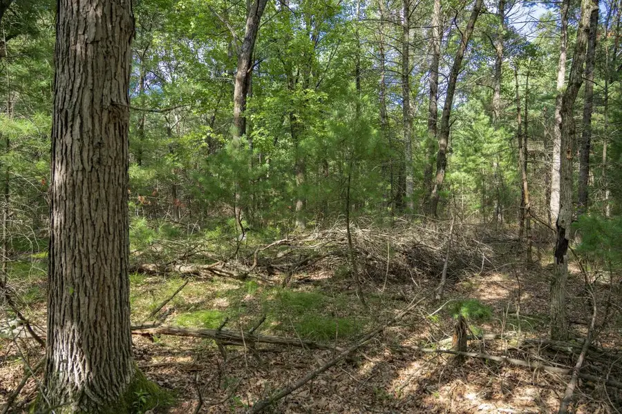 Lot 130 19th Pass, Arkdale, WI 54613 - #3