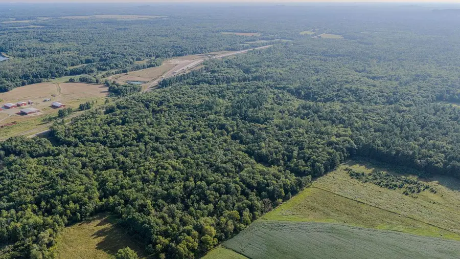98+/- Acres Hwy 95, Alma Center, WI 54611 - #3