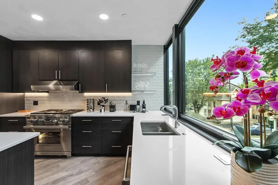 211 S Henry Street #201, Madison, WI 53703 - #3