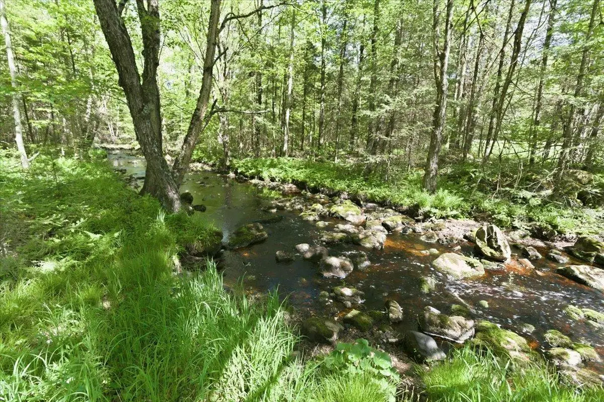 W15052 County Road J Road, Summit, WI 54452 - #1