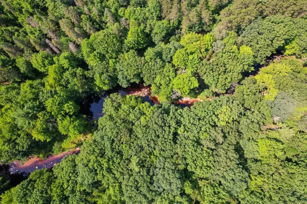 11901 Sparks Road, Pittsville, WI 54466