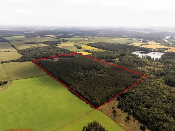 77 +/- Acres Tomorrow River Road, Amherst, WI 54407