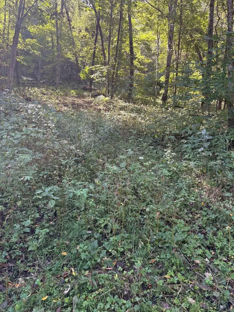 0 Opals Lane, Gays Mills, WI 54631 - #1