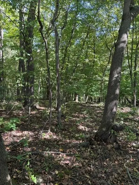 0 Opals Lane, Gays Mills, WI 54631 - #2