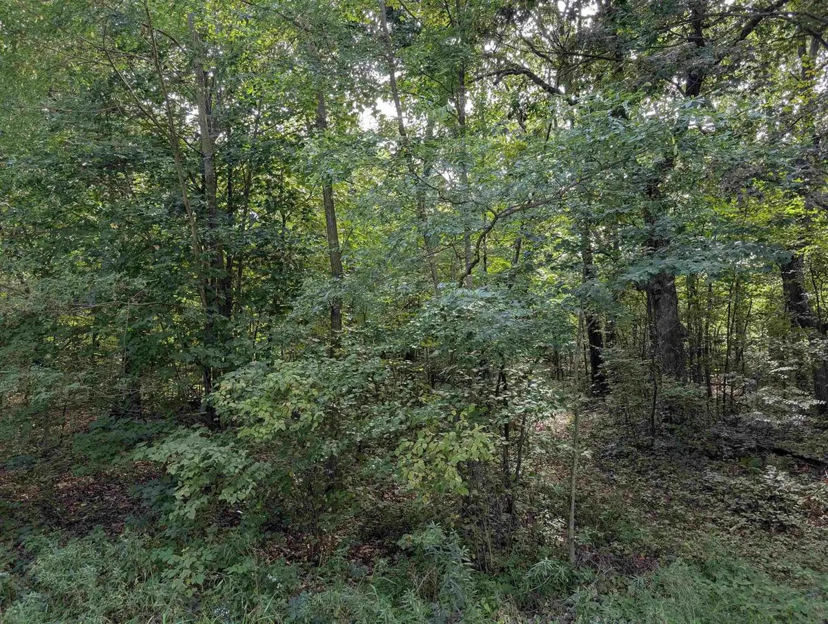 0 Raedel Lane, Wisconsin Dells, WI 53965 - #1