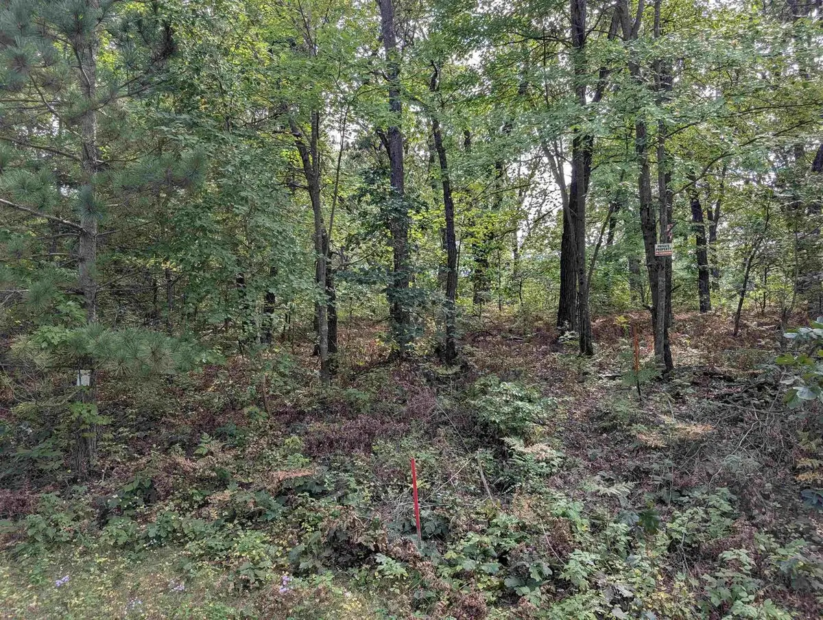 E8877 Raedel Lane, Wisconsin Dells, WI 53965 - #1
