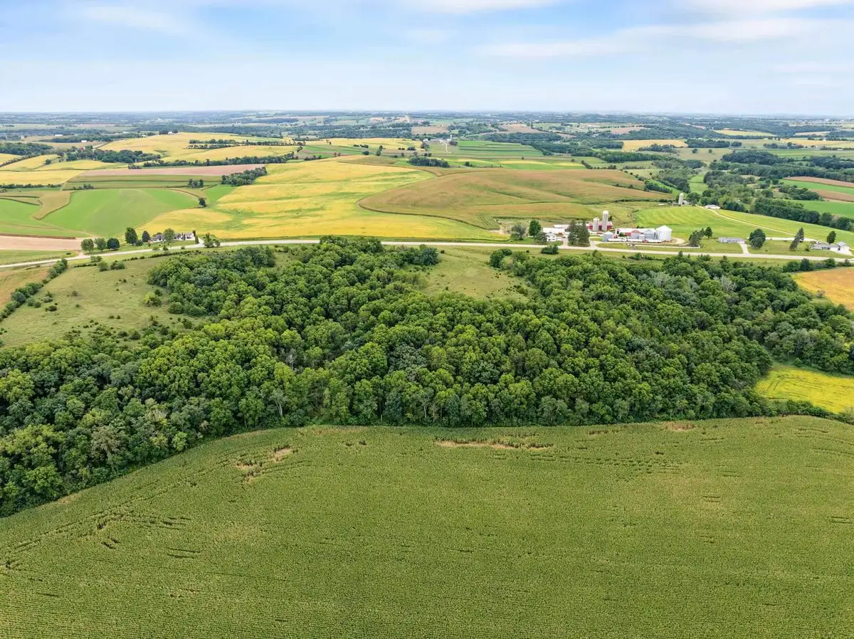 40 +/- Acres Highway 81, Argyle, WI 53504 - #1