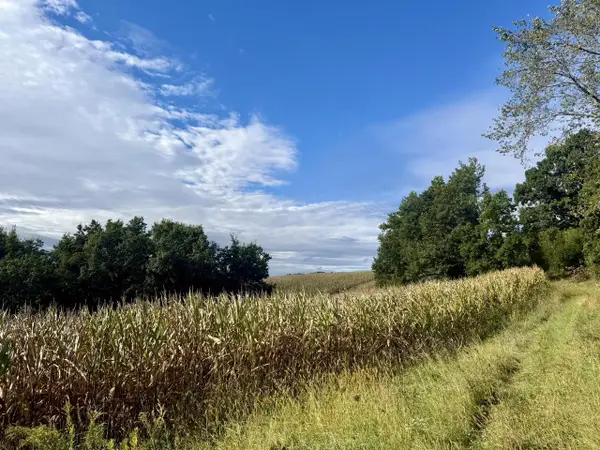 15 Acres Ozone Road, Elroy, WI 53929