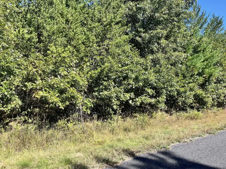 932 Beaver Avenue, Big Flats, WI 54930 - #2