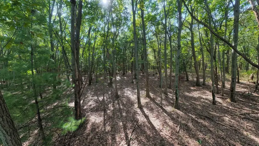 45.86ac County Rd M, Westfield, WI 53964 - #3