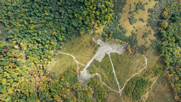 68+/- Acres Badger Avenue, Granton, WI 54436