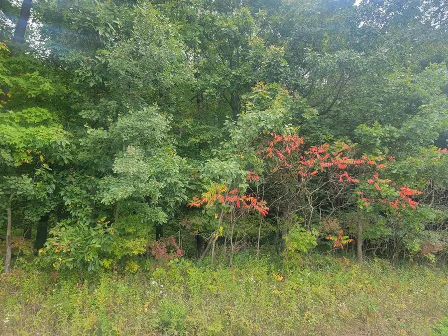 0000 German Valley Road, Hillsboro, WI 54634 - #2