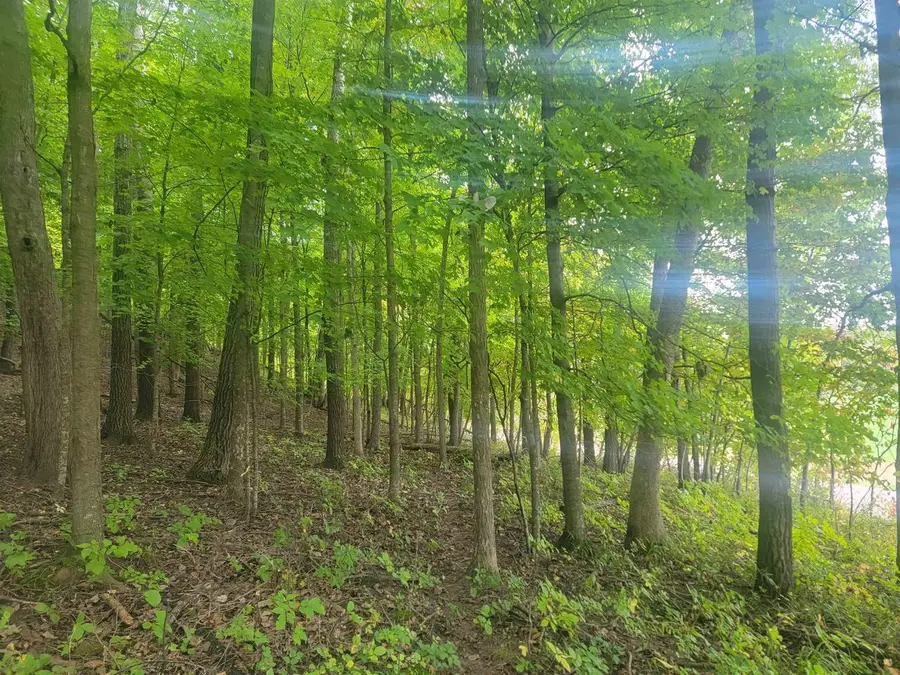 0000 German Valley Road, Hillsboro, WI 54634 - #3