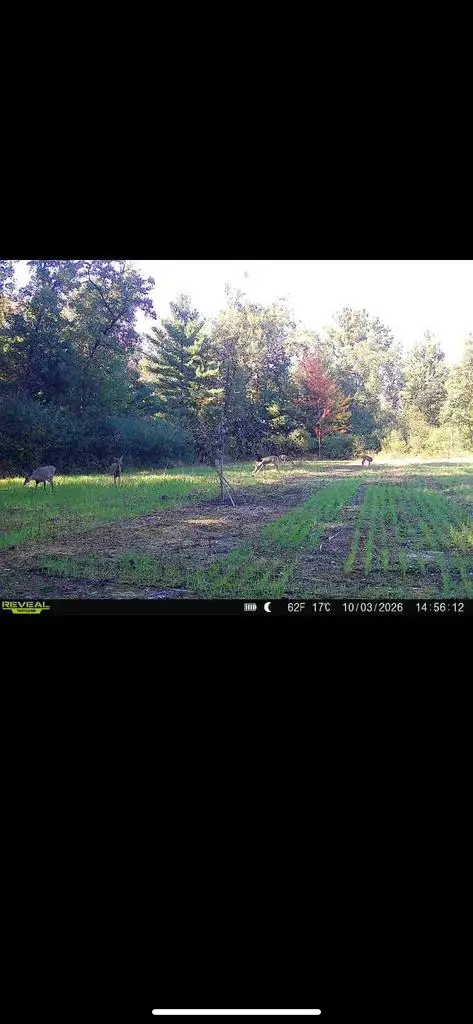 Lot 2 Grayling Road, Tomah, WI 54660 - #2