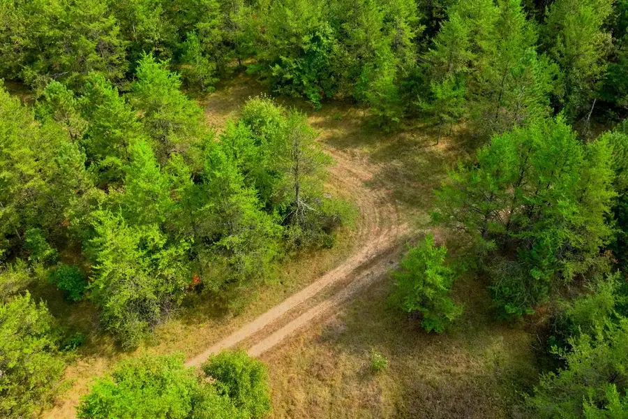 40+/- AC Horse Creek Rd Acres, Augusta, WI 54729 - #2