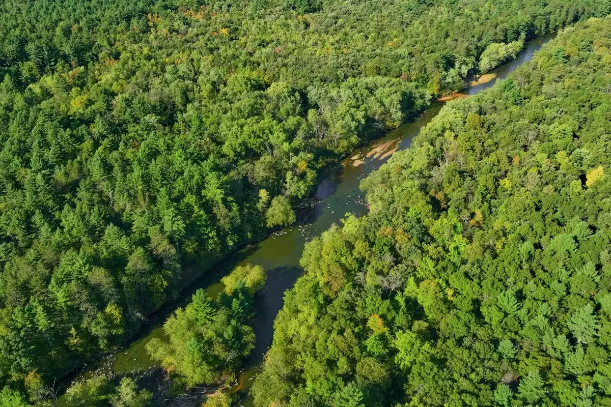 200AC Channey Rd Acres, Augusta, WI 54729 - #1