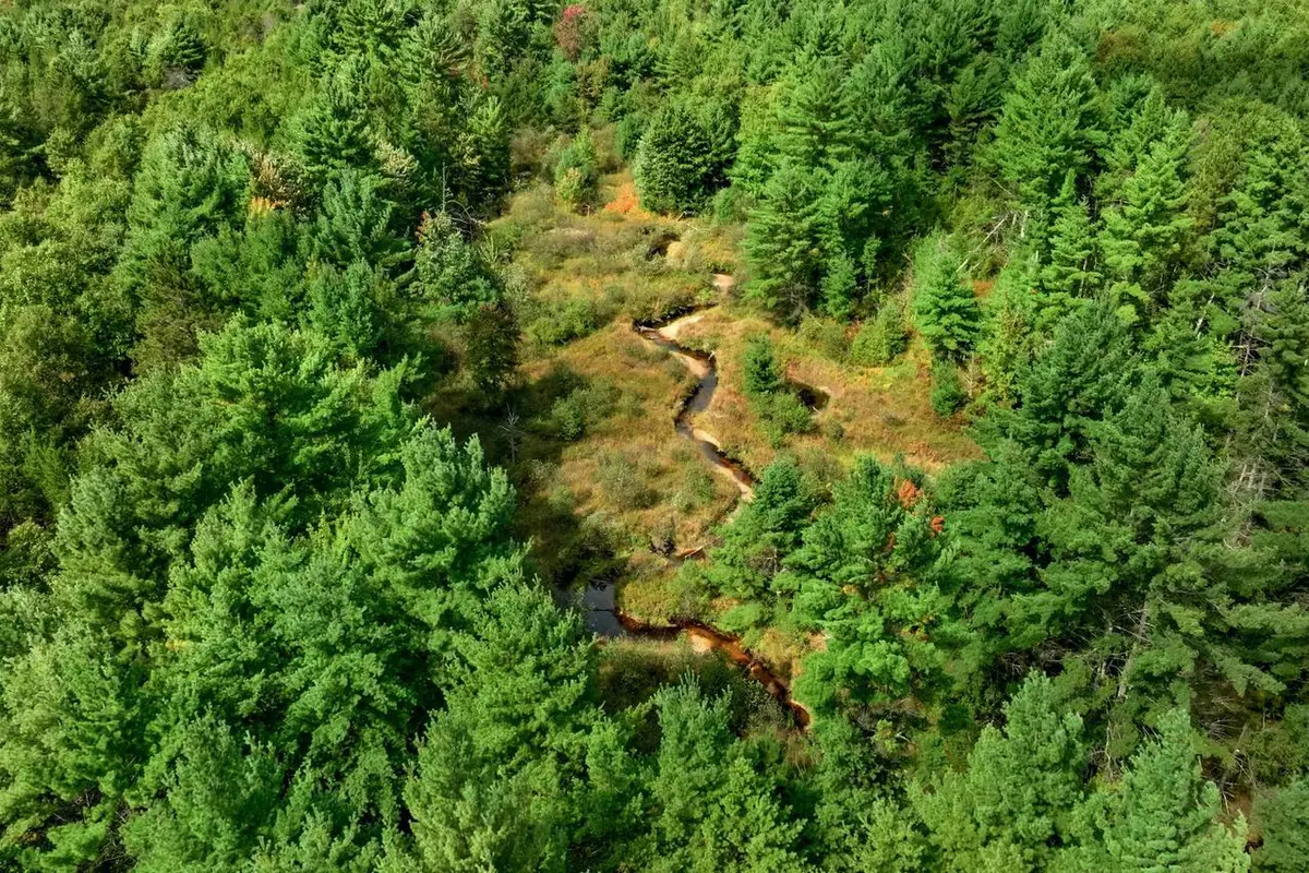 160+/- AC Goat Ranch Rd Acres, Augusta, WI 54729 - #1