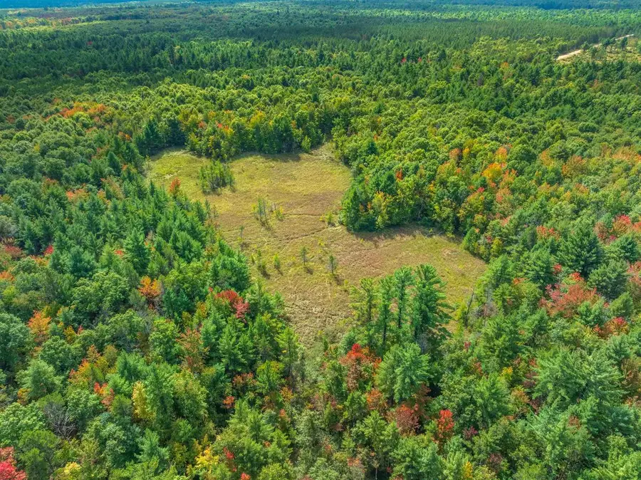 160+/- AC Goat Ranch Rd Acres, Augusta, WI 54729 - #2