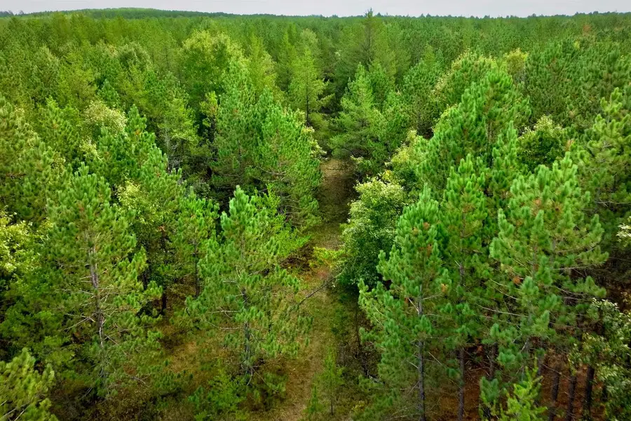 80+/- AC County Rd H/Horse Creek Rd Acres, Augusta, WI 54729 - #2