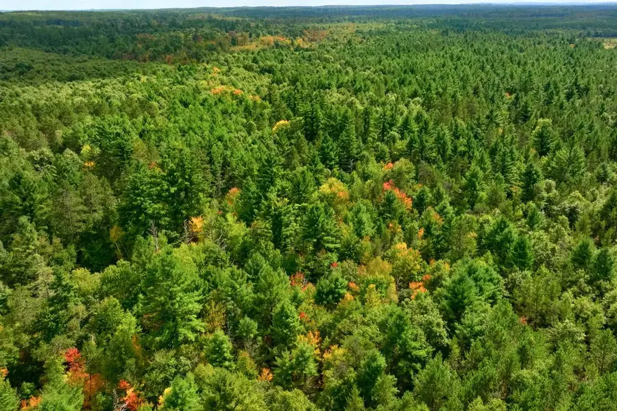 80+/- AC County Rd H/Horse Creek Rd Acres, Augusta, WI 54729 - #3