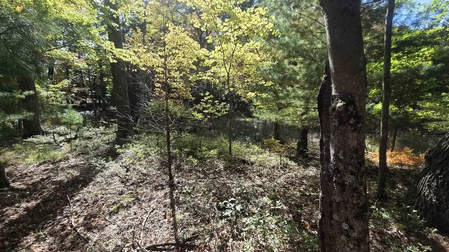 Cty Rd Z Road, Westfield, WI 53964 - #2