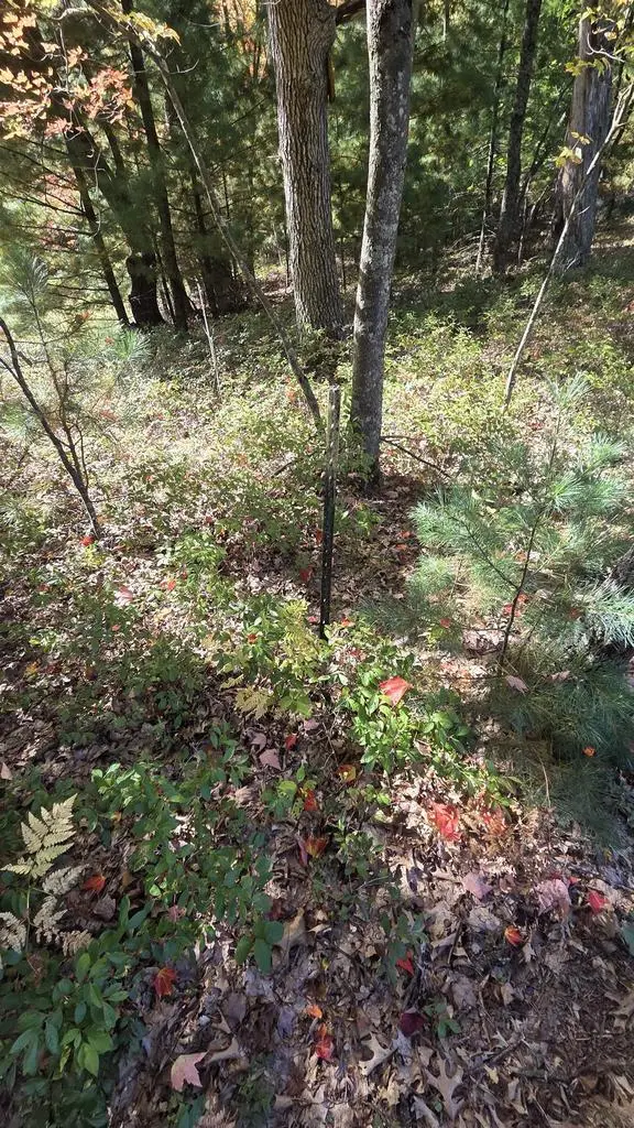 Cty Rd Z Road, Westfield, WI 53964 - #3