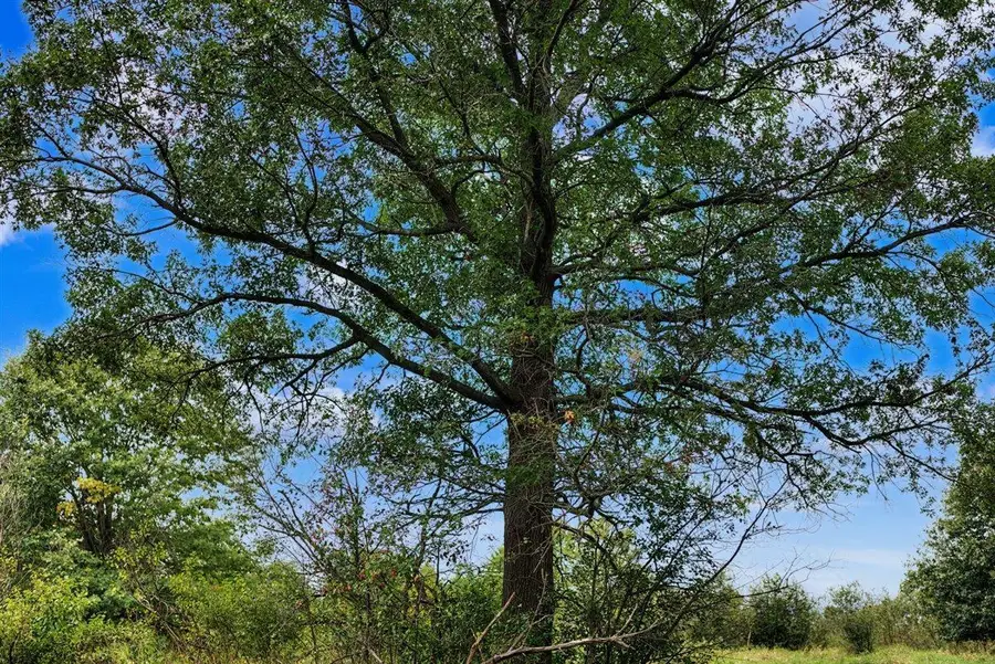 121 Acres County Hwy ET, Tomah, WI 54660 - #3