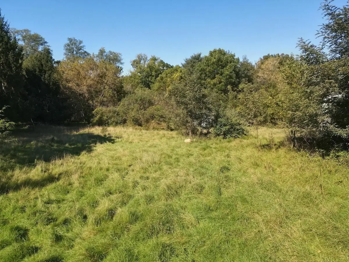 W6001 8th Lane, Montello, WI 53949 - #1