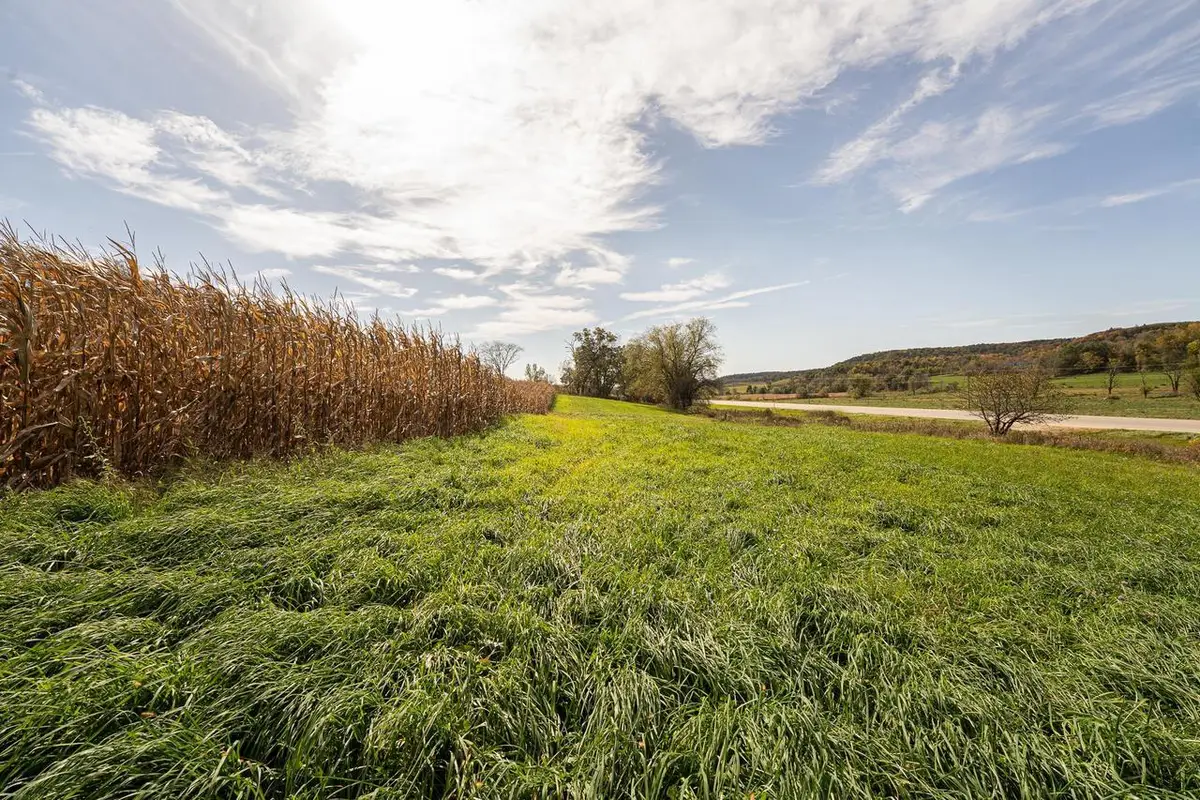 34.06 acres Highway 131, Wilton, WI 54670 - #1