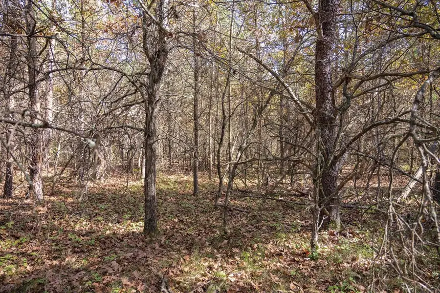 Lot 31 Morros Mile Road, Necedah, WI 54646 - #2