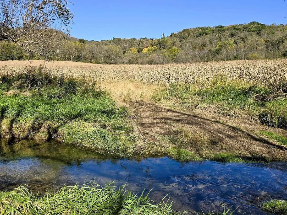 196+/- acres Highway 171, Gays Mills, WI 54631 - #1