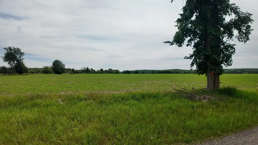 Lot 1 Peshtigo River Road, Laona, WI 54541 - #2