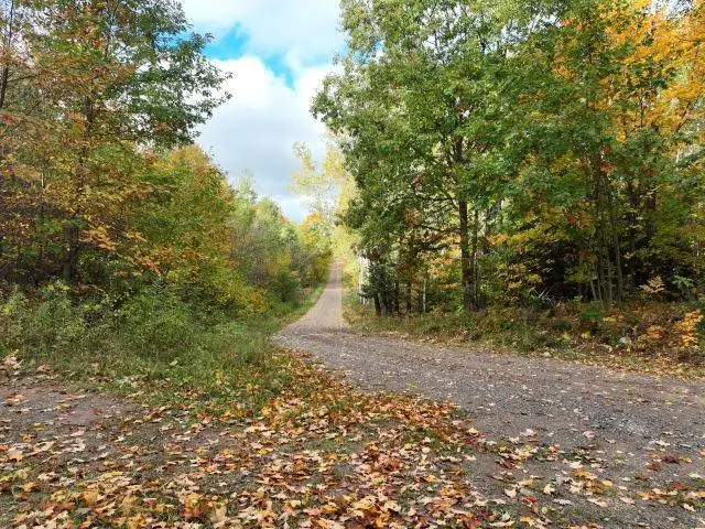 Lot 1 Ison Road, Crandon, WI 54520 - #2