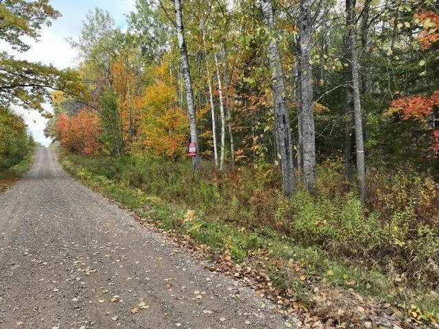 Lot 2 Ison Road, Crandon, WI 54520 - #2