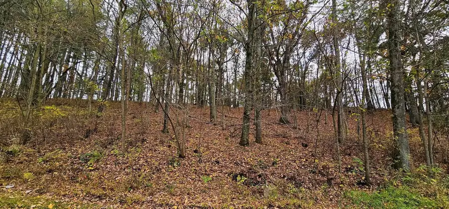 25898 Mandt Street, Richland Center, WI 53581 - #3