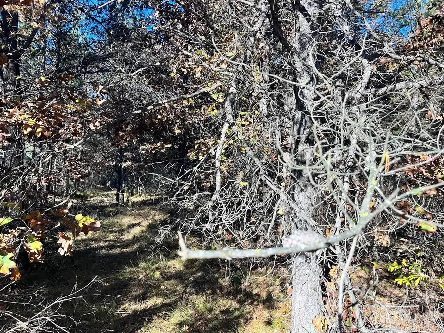 1115 15th Avenue, Arkdale, WI 54613 - #3
