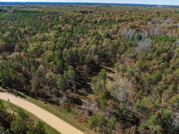 Lot 16 Morros Mile Road, Necedah, WI 54646