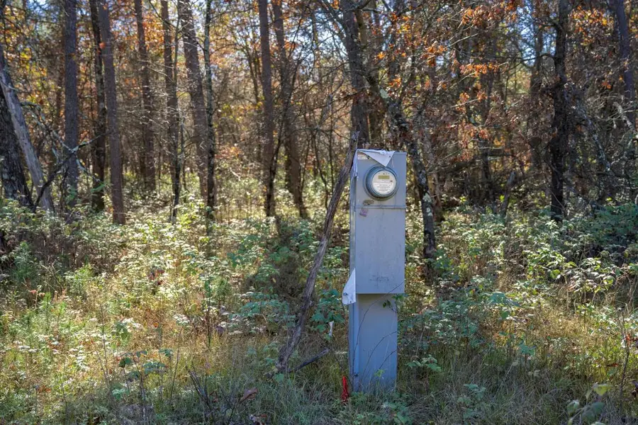 Lot 16 Morros Mile Road, Necedah, WI 54646 - #3