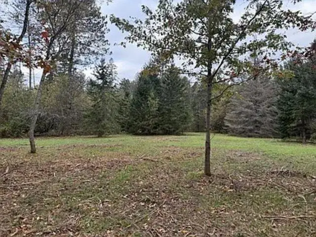 #3
